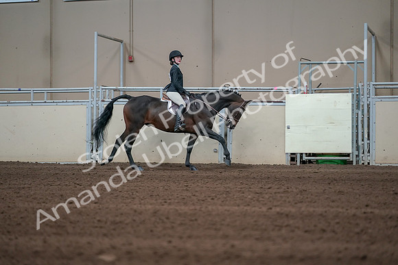2019 Morgan Horse Show - Sept 01, 2019 - 03908