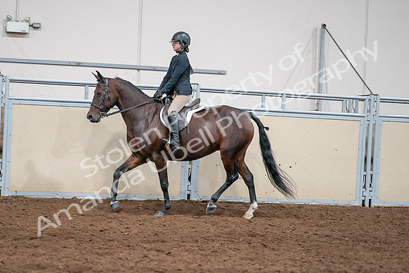 2020 - AB Morgan Horse - Sat, Sept 05 - 04970
