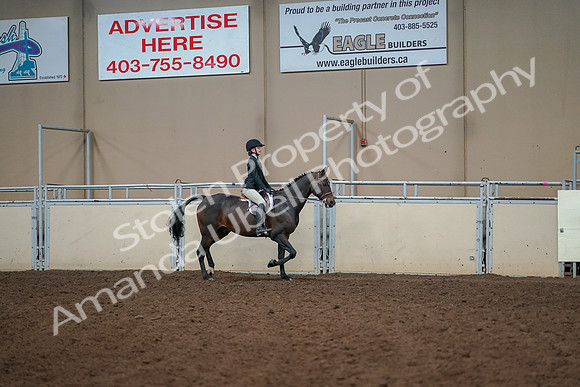 2019 Morgan Horse Show - Aug 30, 2019 - 12480