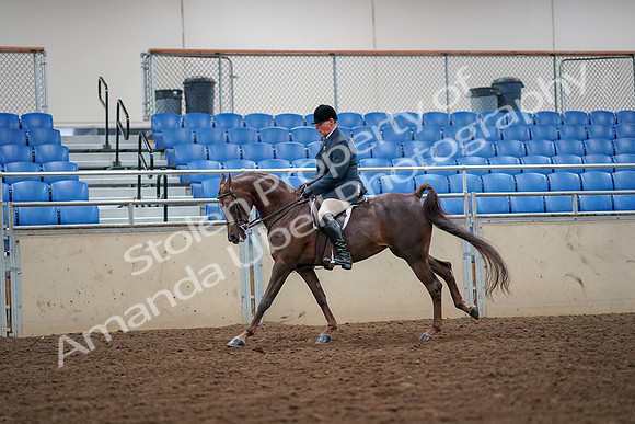 2019 Morgan Horse Show - Aug 30, 2019 - 17425