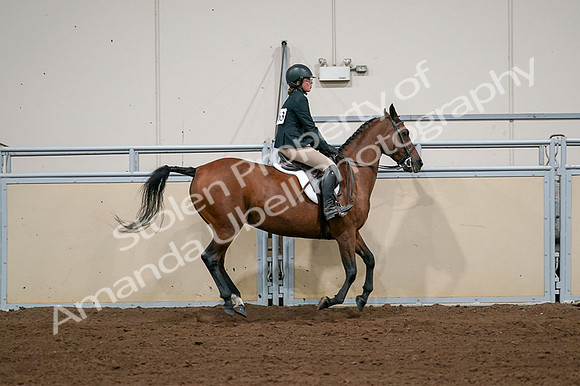2020 - AB Morgan Horse - Fri, Sept 04 - 02107