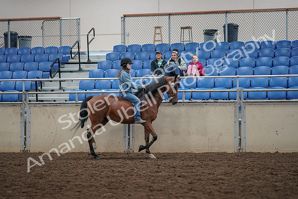 2019 Morgan Horse Show - Aug 30, 2019 - 31351
