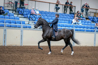 2020 - AB Morgan Horse - Fri, Sept 04 - 06984