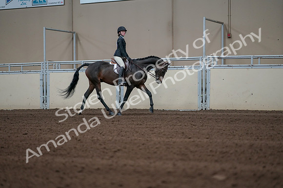 2019 Morgan Horse Show - Sept 01, 2019 - 03846