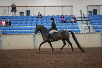 2019 Morgan Horse Show - Aug 30, 2019 - 27197