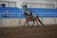 2019 Morgan Horse Show - Sept 01, 2019 - 13157