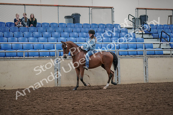 2019 Morgan Horse Show - Aug 30, 2019 - 31097