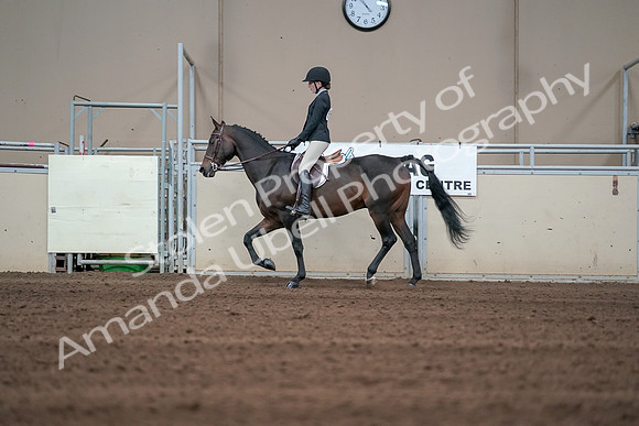 2019 Morgan Horse Show - Sept 01, 2019 - 03689