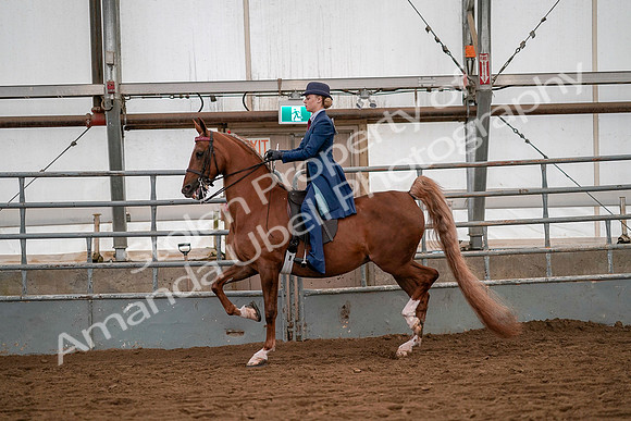 July 19, 2019 - 10247