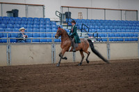 2019 Morgan Horse Show - Sept 01, 2019 - 13159