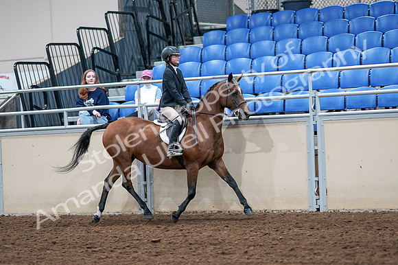 2020 - AB Morgan Horse - Fri, Sept 04 - 02177