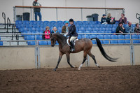 2019 Morgan Horse Show - Aug 31, 2019 - 15855