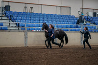 2019 Morgan Horse Show - Aug 31, 2019 - 00496
