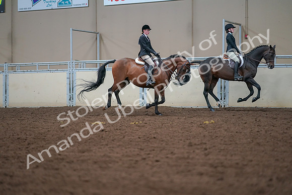 2019 Morgan Horse Show - Aug 30, 2019 - 20992