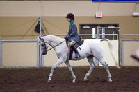Class 15 - Arabian Hunter Pleasure, JTR