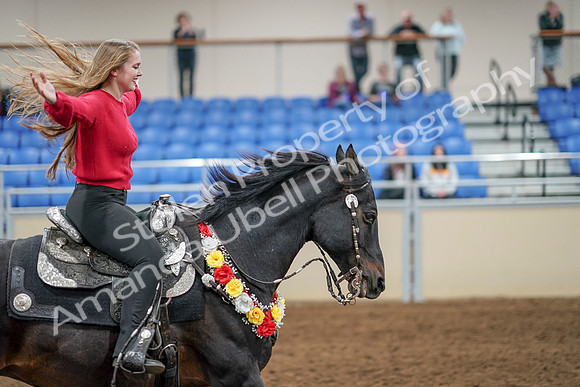2020 - AB Morgan Horse - Sat, Sept 05 - 10569