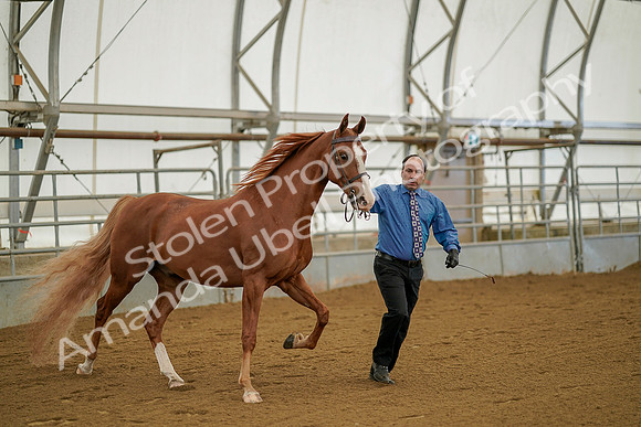 July 19, 2019 - 888