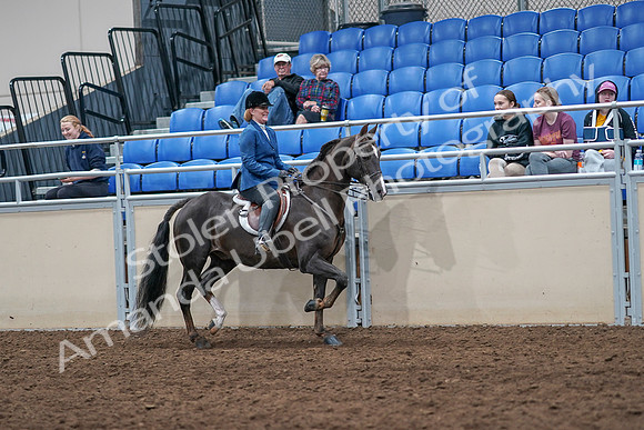 2020 - AB Morgan Horse - Sat, Sept 05 - 05204
