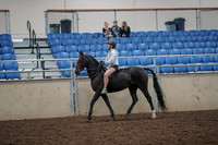 2019 Morgan Horse Show - Aug 30, 2019 - 31031