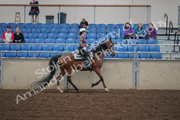 2019 Morgan Horse Show - Aug 30, 2019 - 26208