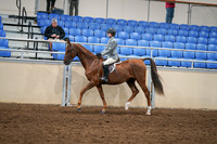2020 - AB Morgan Horse - Fri, Sept 04 - 02964