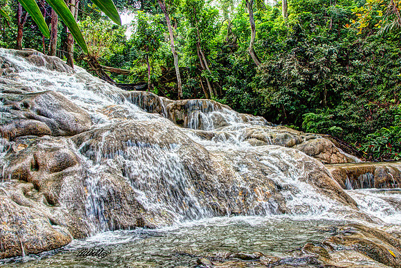 Jamaica - 033