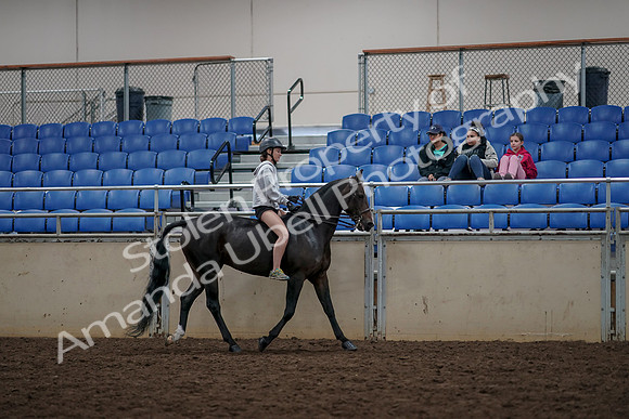 2019 Morgan Horse Show - Aug 30, 2019 - 31386