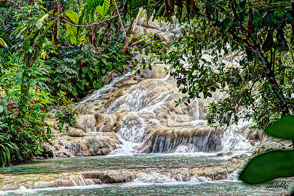 Jamaica - 032