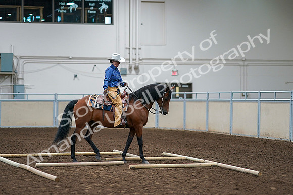 2020 - AB Morgan Horse - Fri, Sept 04 - 00271