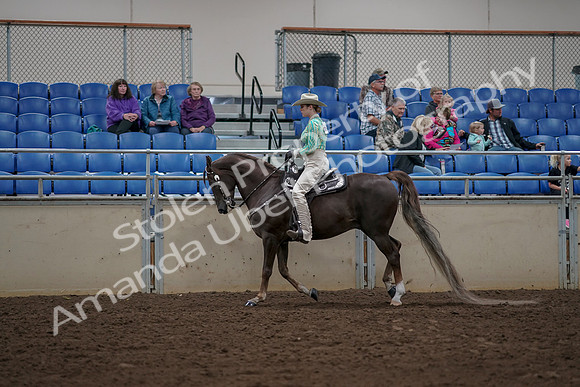 2019 Morgan Horse Show - Aug 30, 2019 - 26075
