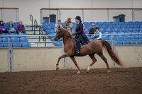 2019 Morgan Horse Show - Aug 30, 2019 - 26768