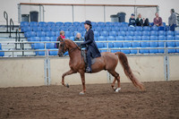 2019 Morgan Horse Show - Aug 31, 2019 - 16907
