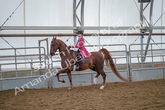 July 20, 2019 - 14490