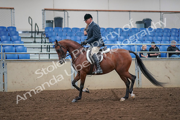 2019 Morgan Horse Show - Aug 30, 2019 - 16126