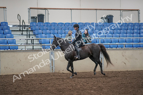 2019 Morgan Horse Show - Aug 31, 2019 - 07362