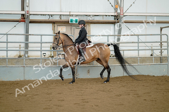 July 21, 2019 - 02162