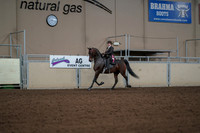 2019 Morgan Horse Show - Aug 30, 2019 - 28296