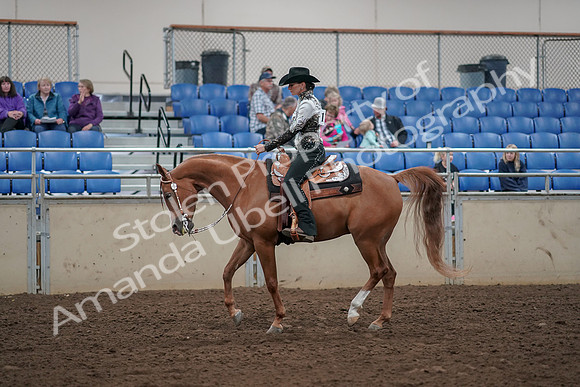 2019 Morgan Horse Show - Aug 30, 2019 - 26103