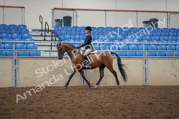 2019 Morgan Horse Show - Aug 30, 2019 - 23349