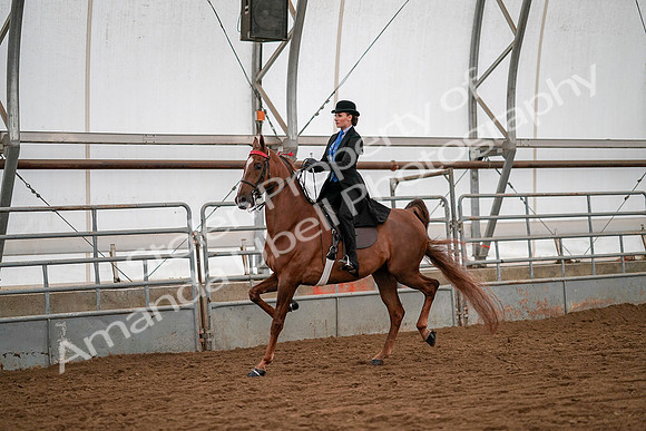 July 19, 2019 - 10585