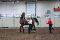 2020 - AB Morgan Horse - Sat, Sept 05 - 00735
