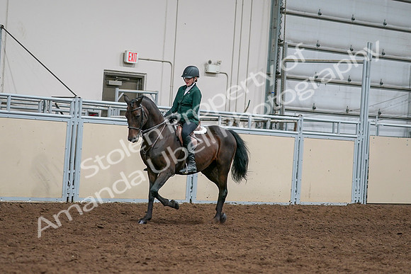 2020 - AB Morgan Horse - Sat, Sept 05 - 05031