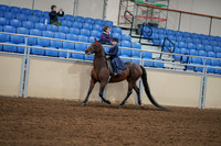2020 - AB Morgan Horse - Fri, Sept 04 - 03636