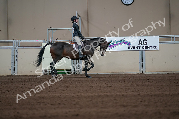 2019 Morgan Horse Show - Sept 01, 2019 - 03873