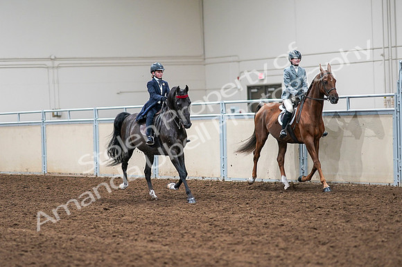 2020 - AB Morgan Horse - Fri, Sept 04 - 03157