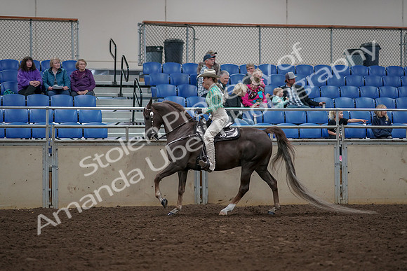 2019 Morgan Horse Show - Aug 30, 2019 - 26070