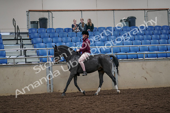 2019 Morgan Horse Show - Aug 30, 2019 - 31144