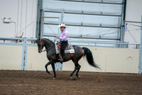 2020 - AB Morgan Horse - Fri, Sept 04 - 00539