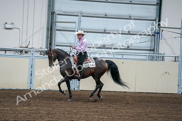2020 - AB Morgan Horse - Fri, Sept 04 - 00539