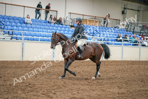 2020 - AB Morgan Horse - Sat, Sept 05 - 14295